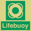 lifebuoy-with-symbol~